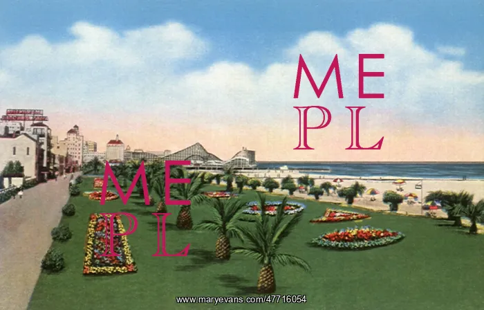  : Palm Beach Park. Long Beach