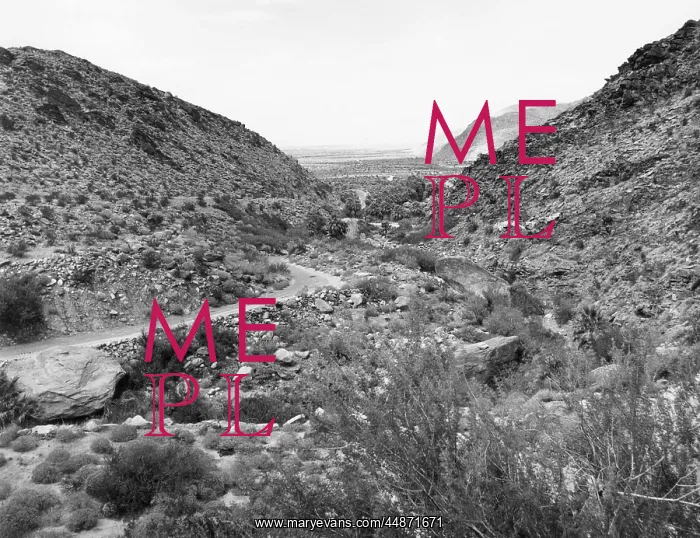: PALM CANYON : PALM CANYON