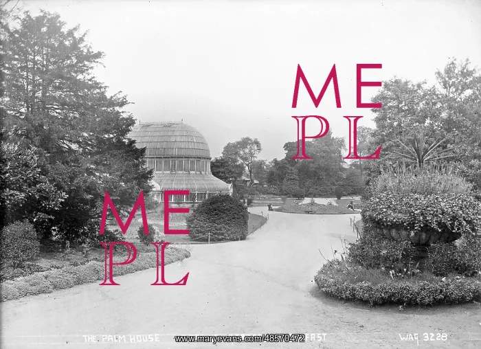 : The Palm House, Botanic Gardens, Belfast : The Palm House, Botanic Gardens, Belfast