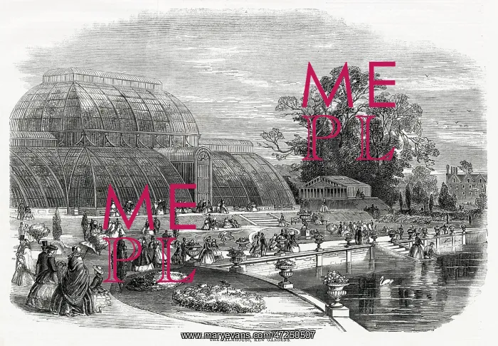 : PALM HOUSE, KEW : PALM HOUSE, KEW