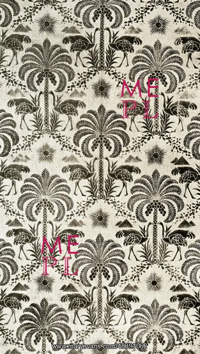 : Palm tree and ostrich pattern : Palm tree and ostrich pattern