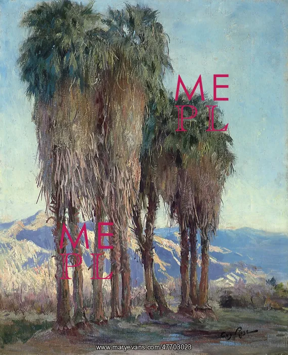  : Palm Trees