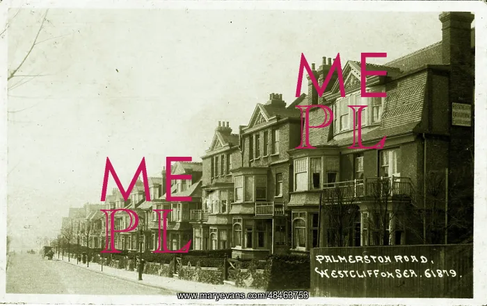 : Palmerston Road : Palmerston Road
