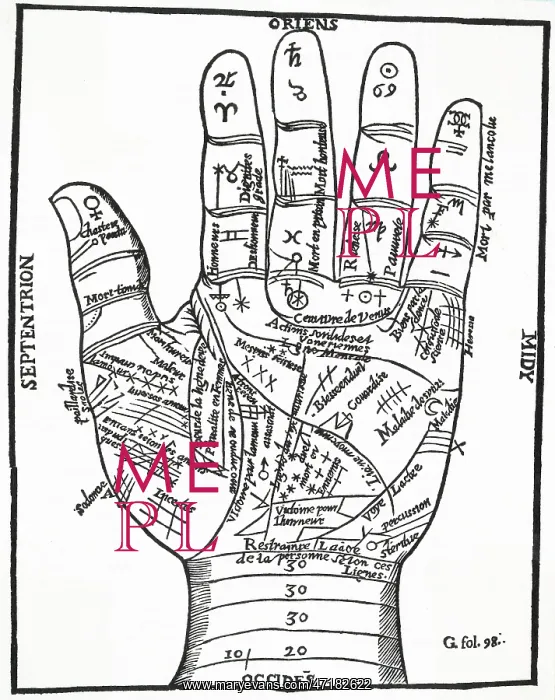 : PALMISTRY - BELOT : PALMISTRY - BELOT