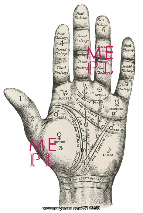 : Palmistry map of the hand : Palmistry map of the hand