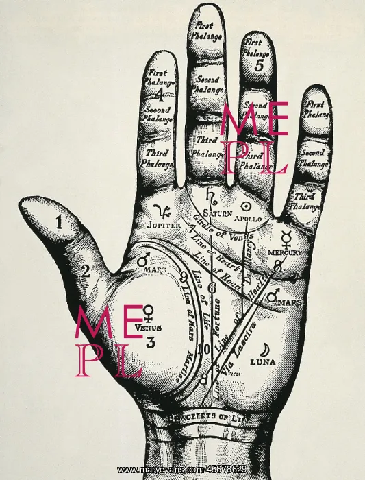 : Palmistry. Planetary and zodiacal diagram of the : Palmistry. Planetary and zodiacal diagram of the