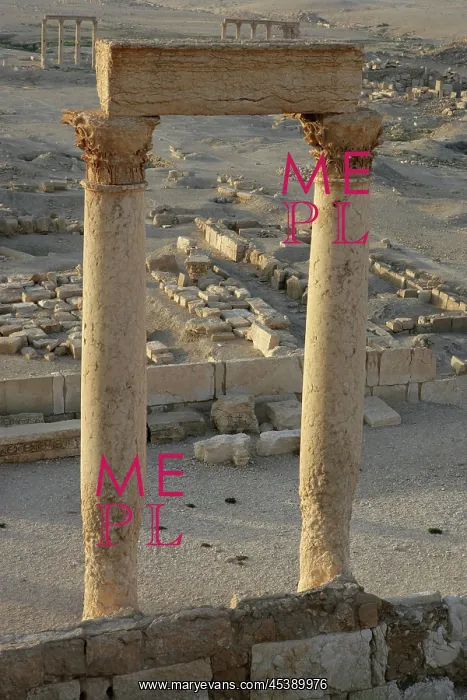 : Palmyra. Corinthian columns, Diocletian's Camp : Palmyra. Corinthian columns, Diocletian's Camp