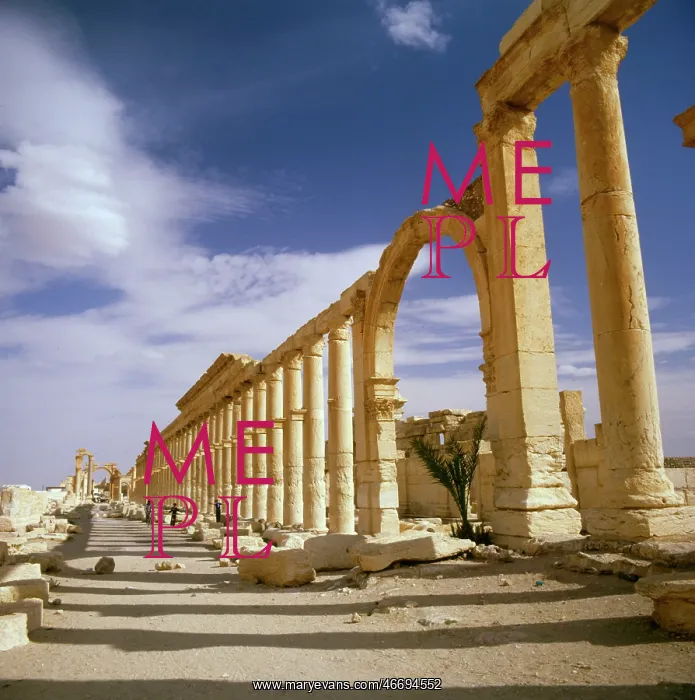  : Palmyra, Syria - The Colonnade