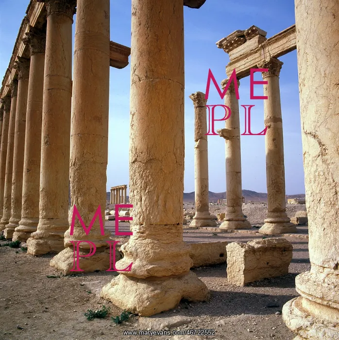  : Palmyra, Syria - The Colonnade (close-up)