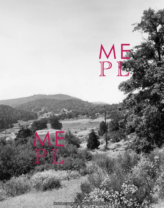 : PALOMAR STATE PARK : PALOMAR STATE PARK