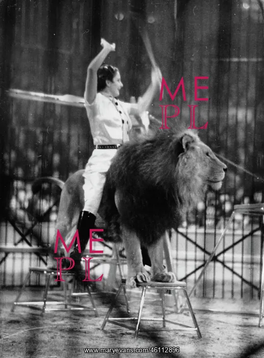 : Pamela Bourne is the youngest lion : Pamela Bourne is the youngest lion