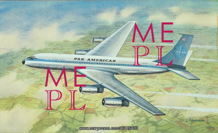  : Pan Amercian Airliner