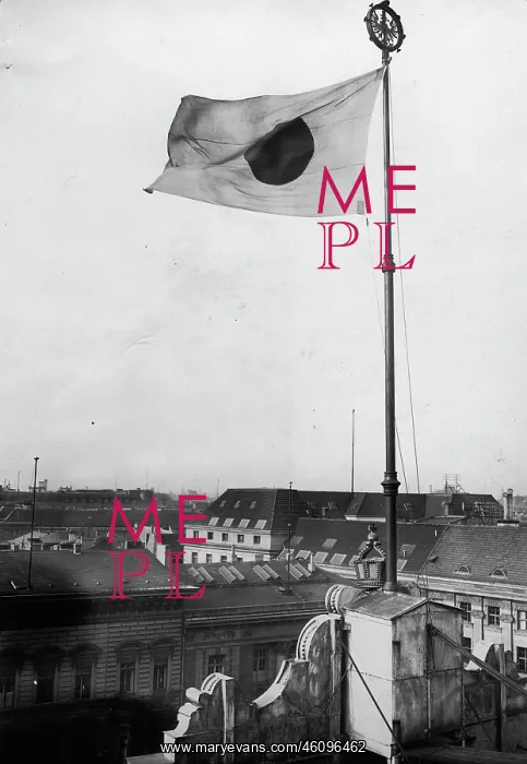 : Pan-European flag : Pan-European flag
