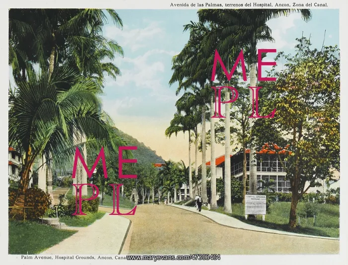  : PANAMA / ANCON C1915