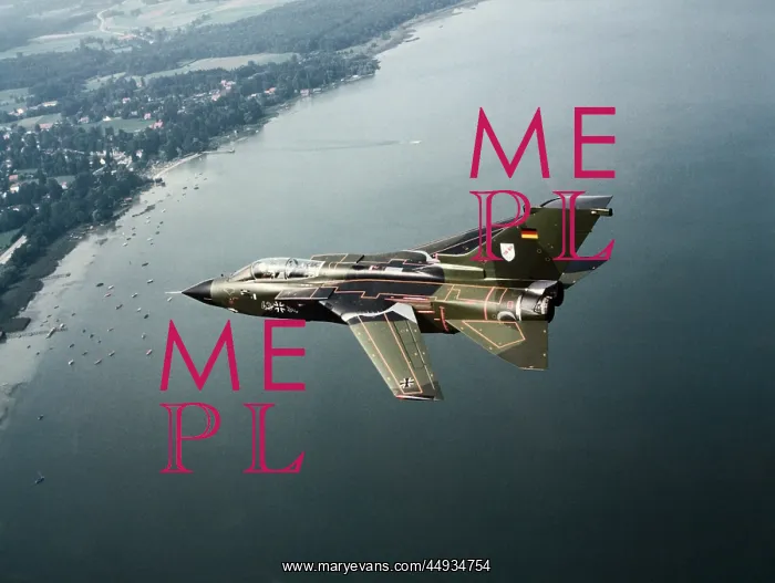 : Panavia Tornado IDS : Panavia Tornado IDS
