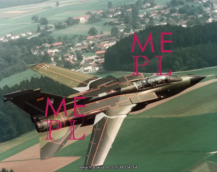 : Panavia Tornado IDS : Panavia Tornado IDS
