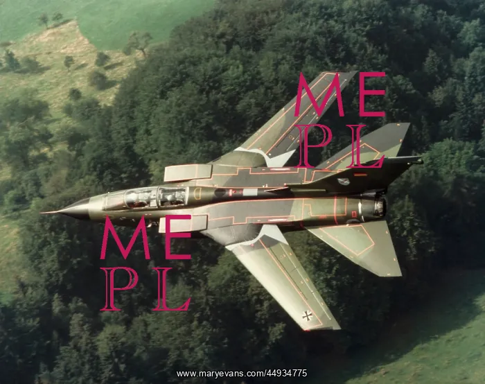 : Panavia Tornado IDS : Panavia Tornado IDS