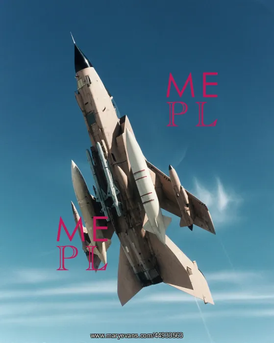 : Panavia Tornado IDS GR-1 : Panavia Tornado IDS GR-1