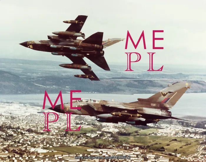 : Panavia Tornado IDS GR-1 : Panavia Tornado IDS GR-1