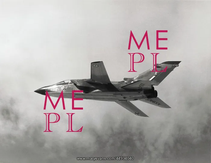 : Panavia Tornado IDS GR-1 : Panavia Tornado IDS GR-1