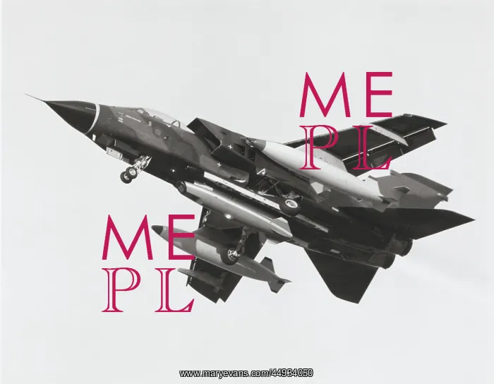 : Panavia Tornado IDS GR-1 : Panavia Tornado IDS GR-1