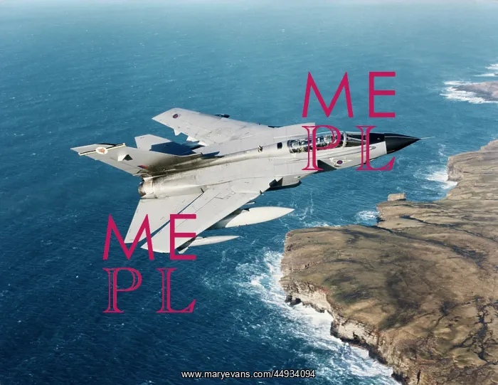 : Panavia Tornado IDS GR-1 : Panavia Tornado IDS GR-1