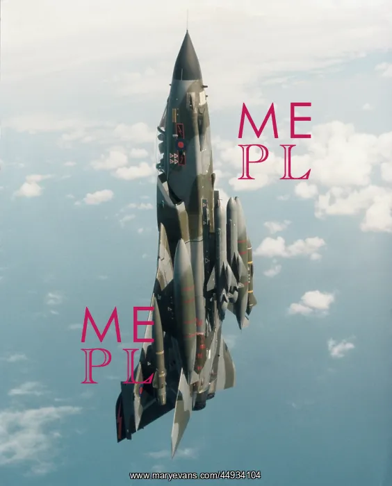 : Panavia Tornado IDS GR-1 : Panavia Tornado IDS GR-1