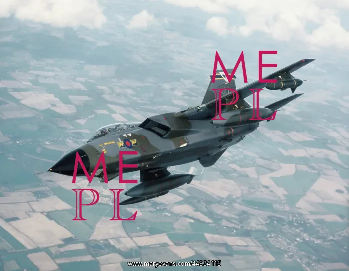 : Panavia Tornado IDS GR-1 : Panavia Tornado IDS GR-1