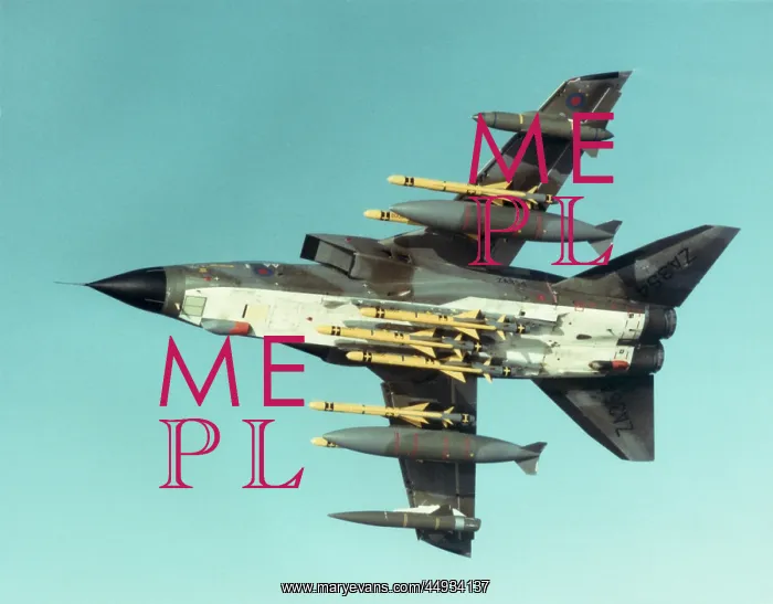 : Panavia Tornado IDS GR-1 : Panavia Tornado IDS GR-1