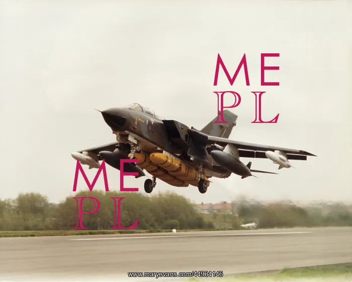 : Panavia Tornado IDS GR-1 : Panavia Tornado IDS GR-1