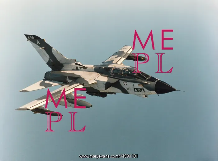 : Panavia Tornado IDS GR-1 : Panavia Tornado IDS GR-1
