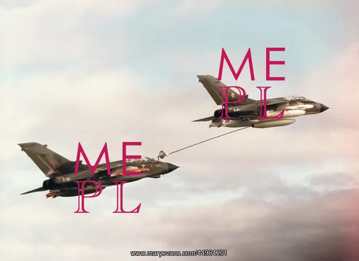 : Panavia Tornado IDS GR-1 : Panavia Tornado IDS GR-1