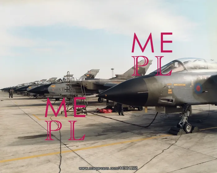 : Panavia Tornado IDS GR-1 : Panavia Tornado IDS GR-1