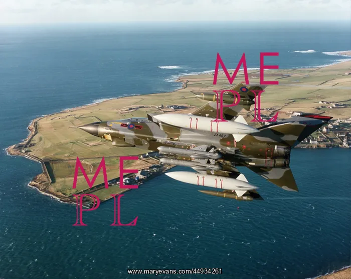 : Panavia Tornado IDS GR-1 : Panavia Tornado IDS GR-1