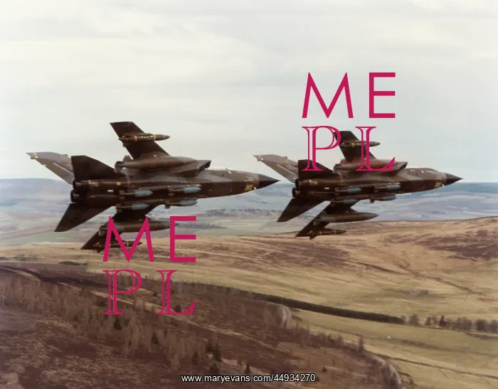 : Panavia Tornado IDS GR-1 : Panavia Tornado IDS GR-1