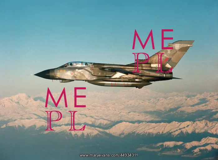 : Panavia Tornado IDS GR-1 : Panavia Tornado IDS GR-1