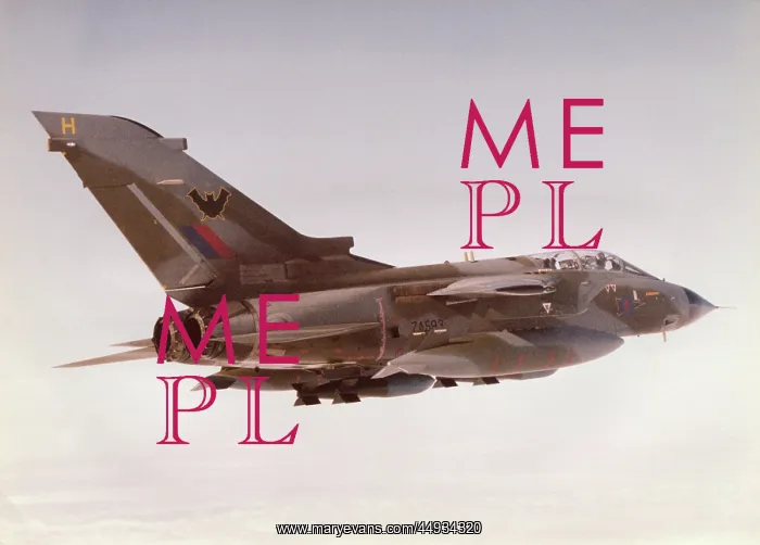 : Panavia Tornado IDS GR-1 : Panavia Tornado IDS GR-1
