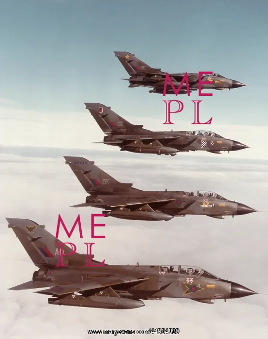: Panavia Tornado IDS GR-1 : Panavia Tornado IDS GR-1