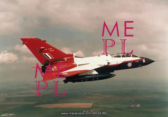 : Panavia Tornado IDS GR-1 : Panavia Tornado IDS GR-1
