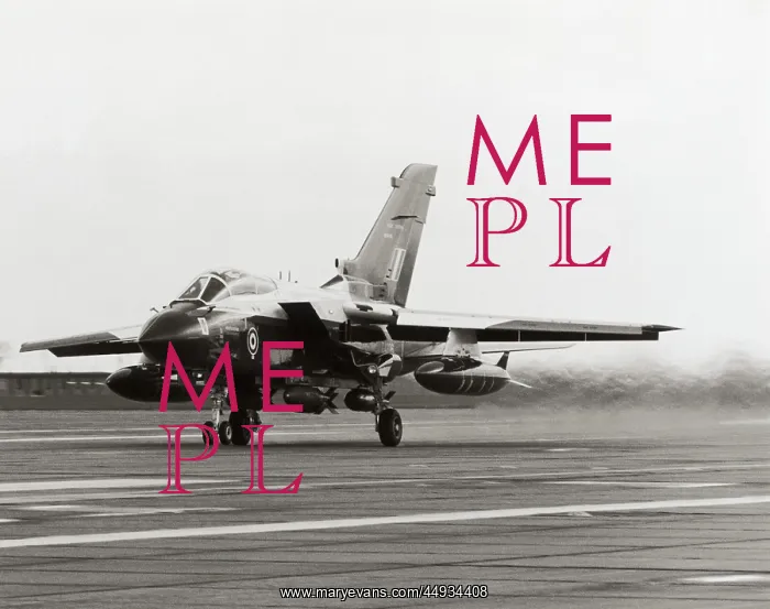 : Panavia Tornado IDS GR-1 : Panavia Tornado IDS GR-1
