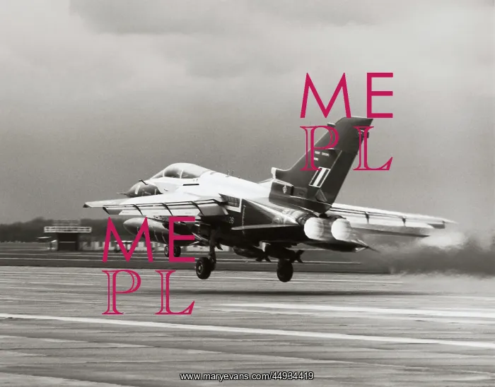 : Panavia Tornado IDS GR-1 : Panavia Tornado IDS GR-1