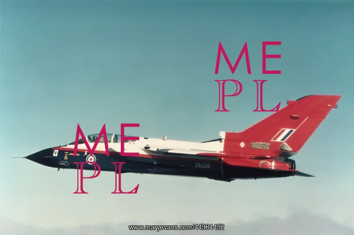 : Panavia Tornado IDS GR-1 : Panavia Tornado IDS GR-1