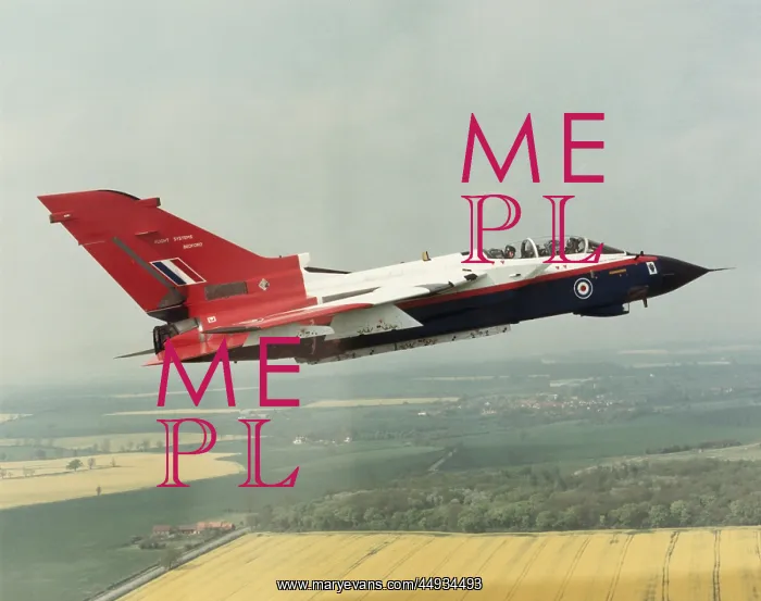 : Panavia Tornado IDS GR-1 : Panavia Tornado IDS GR-1