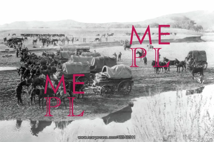 : Pancho Villa Expedition, Army Wagon Pack Train, 1916 : Pancho Villa Expedition, Army Wagon Pack Train, 1916