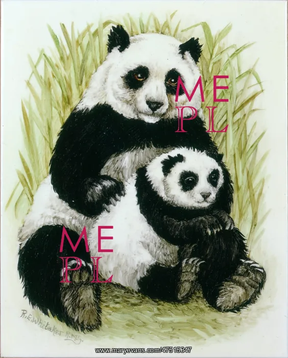  : Panda Mother and Baby