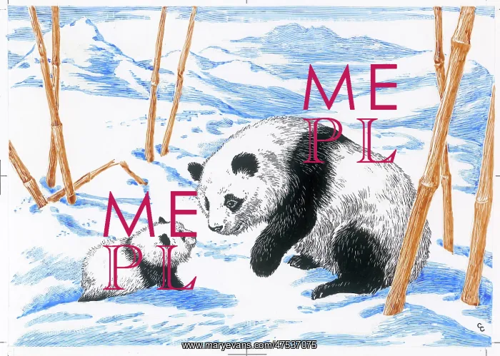  : Panda and young panda in the snow