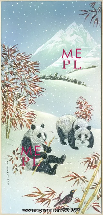 : Two Pandas in the snow with bamboo : Two Pandas in the snow with bamboo