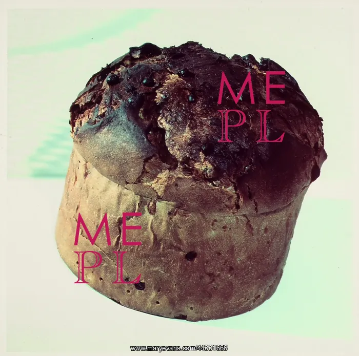  : Panettone. Close-up of a panettone, a typical Christmas cake