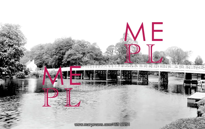  : Pangbourne, the Bridge 1893