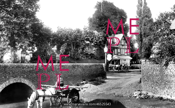  : Pangbourne, the Bridge and the Old George 1899